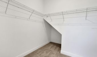 5565 MARSHELDER St, Apopka, FL 32712