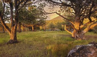 Wayside Circle 13, Beatty, OR 97621