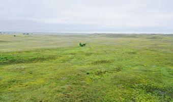 755 90 +/- Acres, Arnold, NE 69120