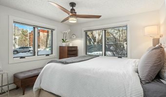 119 E Cooper Ave #5, Aspen, CO 81611