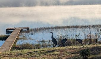 44228 PARKWAY Ln, Altoona, FL 32702