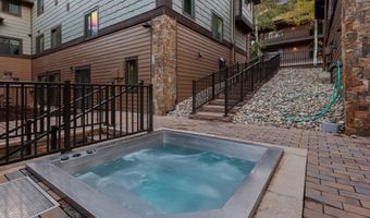 650 S Monarch St 4, Aspen, CO 81611