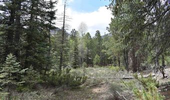 264 Ponderosa Homes Rd, Bayfield, CO 81137