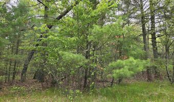 S Badger Lane lot 38, Arkdale, WI 54613