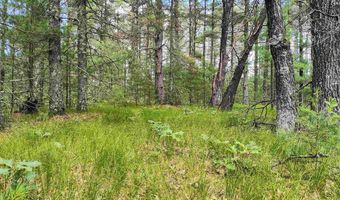 5 6 Acres 16th Ave Lot 3, Arkdale, WI 54613