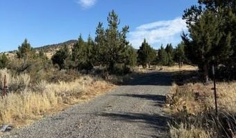 Old Coyote Ct, Alturas, CA 96101