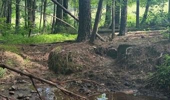 0- Lot 5 Piney Mountain Rd, Appomattox, VA 24522