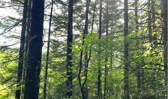 Nowakowski Rd, Banks, OR 97106