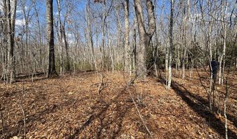 Brookstone Road lot 3, Bastian, VA 24314