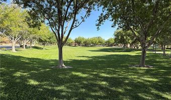 11039 PEGASUS Dr, Las Vegas, NV 89135