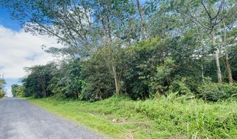 16 TH Ave, Keaau, HI 96749