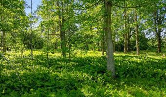 5850 5860 5870 SUNSET, Alanson, MI 49706