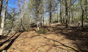 50 Pine Rd, Colebrook, CT 06021
