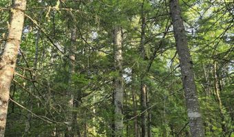 Cummings Lane, Acton, ME 04468