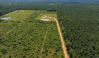 2616 Bodcau Dam Rd, Benton, LA 71006