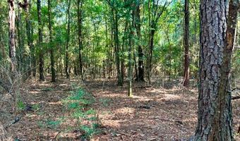 8645 Moores Mill Creek Rd, Baker, FL 32531