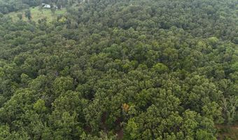 County Road Jj-416, Ava, MO 65608