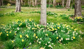 13801 MANOR Rd, Baldwin, MD 21013