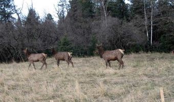 39 Elk Spgs Lot 9 Elk Springs, Cloudcroft, NM 88317