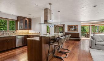 203 Eastwood Dr, Aspen, CO 81611
