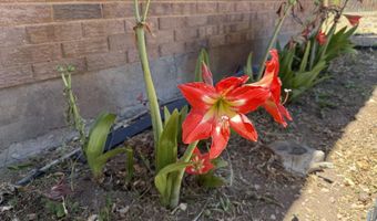 1110 Ranchero Rd, Bosque Farms, NM 87068