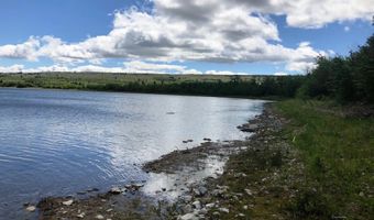 W Shore Duck Lake Road lot 32, Babb, MT 59411