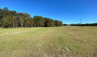 10438 Burtons Ferry Hwy, Allendale, SC 29810