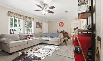 4506 10th St, Bell, FL 32619