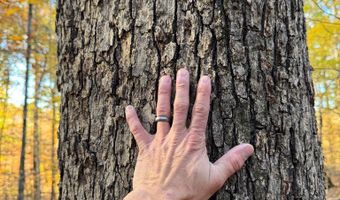 Hwy 9, Bruce, MS 38915