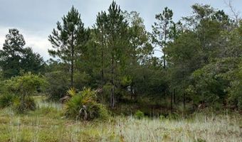 4539 NW Miller/White LN Rd, Altha, FL 32421