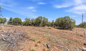 144 Pinon Hills Cir, Arboles, CO 81122