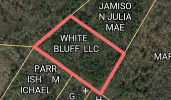 Calhoun Street, Branchville, SC 29432