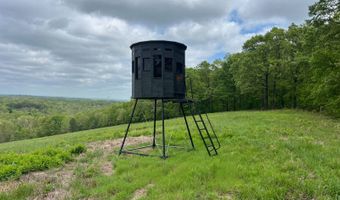 Co Rd 321 Route 5, Ava, MO 65608