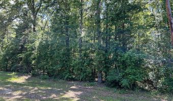 4 Ac Industrial Dr, Abbeville, GA 31001