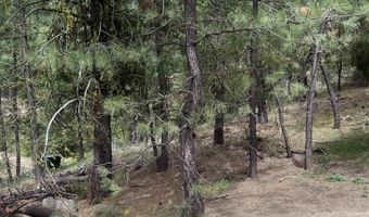 1510 Crown Point Pkwy, Cascade, ID 83611