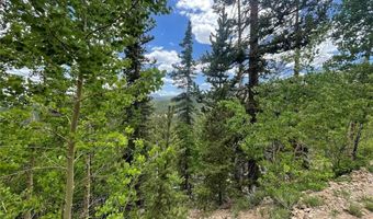 847 COUNTY ROAD 787, Alma, CO 80420