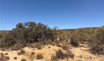 58650 Wellman Rd, Anza, CA 92539