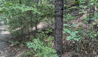 Tract 6 Cascadia Beach, Bee Branch, AR 72013