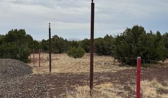 82 County Road 8010, Concho, AZ 85924