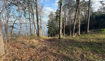 2123 Calhoun Dr, Abbeville, AL 36310