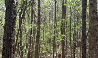 274 CR 3301, Booneville, MS 38829