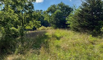 Co Rd 539, Ava, MO 65629