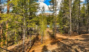 265 Placer Dr Lot 10, Alma, CO 80420