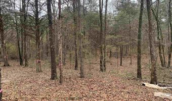 327 Pine Timber Ln, Bee Branch, AR 72039