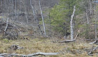 295 Shellstone Rd, Amsterdam, NY 12010