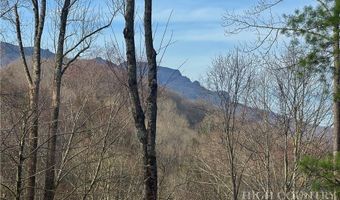 Basswood, Banner Elk, NC 28604