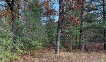 Lot 99 Wilderness, Alger, MI 48610
