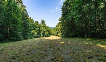 2476 ENNIS MOUNTAIN Rd, Afton, VA 22920