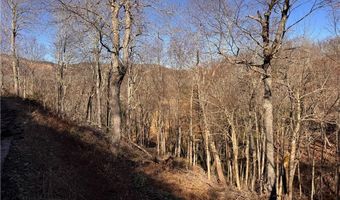 Snow Ridge Road lot 39 And 40, Banner Elk, NC 28604