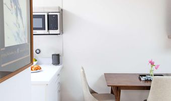 210 E, Aspen, CO 81611